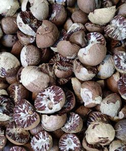 betel nuts bulk buyers